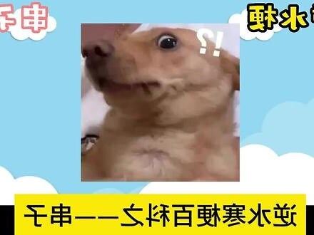 串子 意思